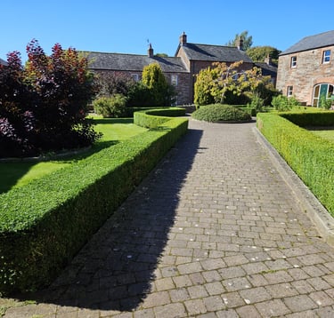 hedge cutting