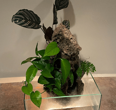 Glass-tank waterfall sculpture with live plants by Phil Mikkelson, made for a waterfall art exhibit.