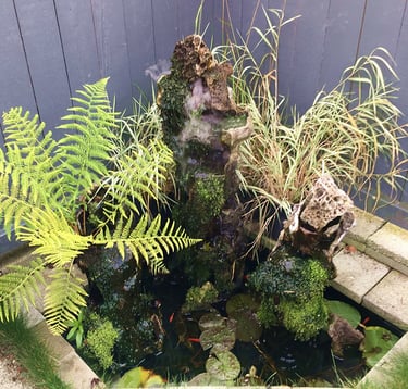 Outdoor pond installation in Tacoma by Phil Mikkelson, featuring moss-covered waterfall stones, fern