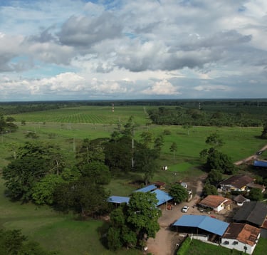 finca de cultivo de palma realizada con drone en Santander Colombia
