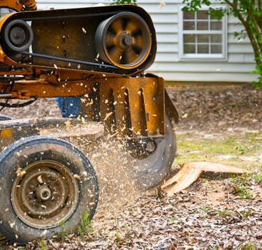 TREE-MENDOUS Tree Service