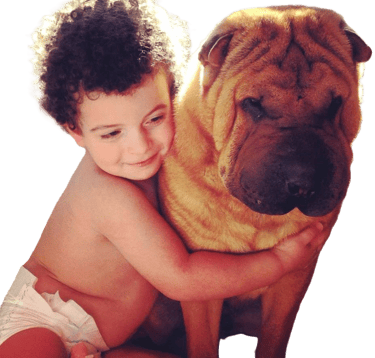 cuccioli sharpei campania