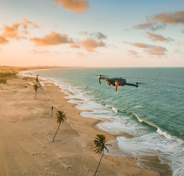 drone survolant une plage et des palmiers