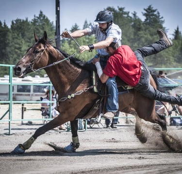 Participants du Festival Gymkhana en pleine action, défiant les obstacles et démontrant leurs compétences