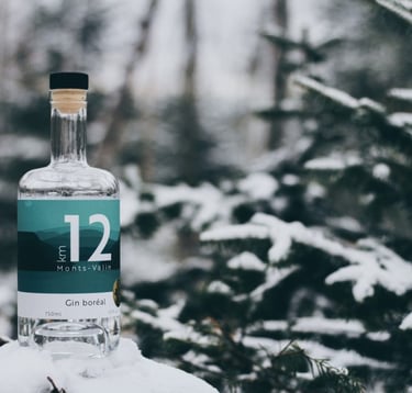 Bouteille de gin du KM 12, une spécialité artisanale de la région, idéale pour les amateurs de spiritueux, présentée dans un
