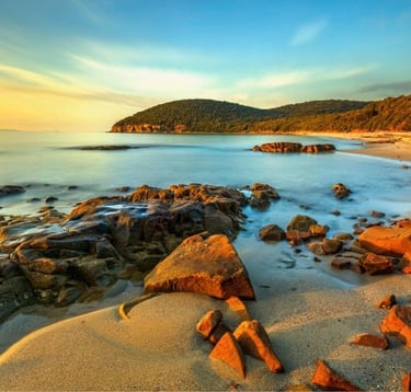 hotels near Cala Viola beach tuscany vacanza mare