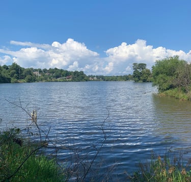 Beaver Lake Bird Sanctuary, Asheville, Summer 2022