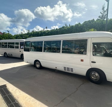 bermuda group transport