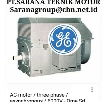 Jual Teco Electric Motor, jual Tatung Electric Motor, jual Elektrim Cantoni Electric Motor