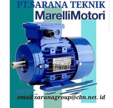 Jual Teco Electric Motor, jual Tatung Electric Motor, jual Elektrim Cantoni Electric Motor