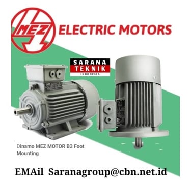 Jual Teco Electric Motor, jual Tatung Electric Motor, jual Elektrim Cantoni Electric Motor