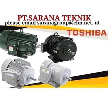 Jual Teco Electric Motor, jual Tatung Electric Motor, jual Elektrim Cantoni Electric Motor
