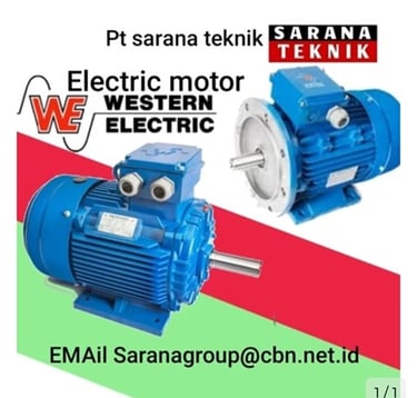 Jual Teco Electric Motor, jual Tatung Electric Motor, jual Elektrim Cantoni Electric Motor