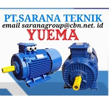 Jual Teco Electric Motor, jual Tatung Electric Motor, jual Elektrim Cantoni Electric Motor
