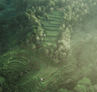 Wayanad