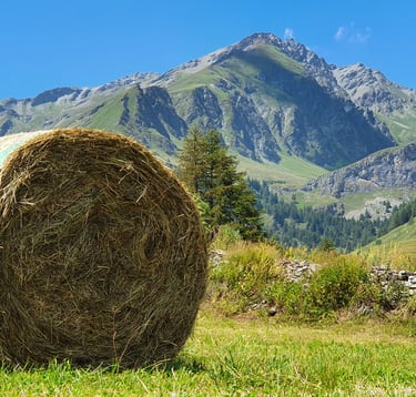 farming valle varaita