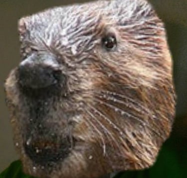Paúl
