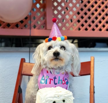 Gâteaux et cupcakes frais chien