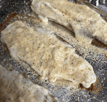 Broiled Talapia seasoned and breaded but not cooked yet, ready to go in the oven for final step.