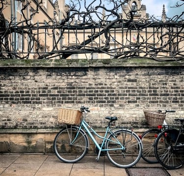 tour a Cambridge di 1 giorno