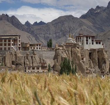 ladakh lamayuru monastery