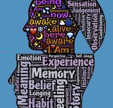 #changement #pleine conscience #Nantes #Sainte Luce sur Loire