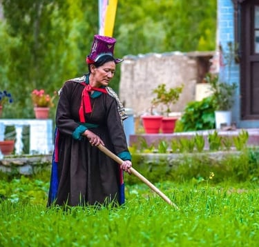 Living among Ladakhi locals, experiencing their vibrant culture and daily life