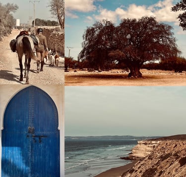 a collage of photos of a man riding a horse