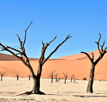 Sossusvlei