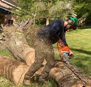 cutting up a tree with a chainsaw