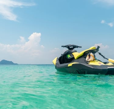 The latest addition to Havelock’s kitty