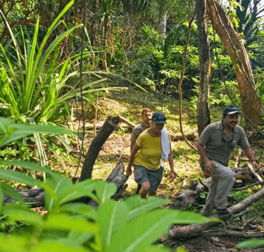 Kalapathar Beach Trekking