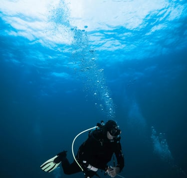 Scuba Diving Havelock