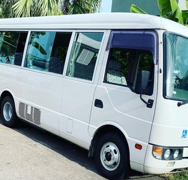 accessible transport bermuda