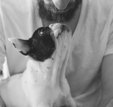 soins animaux signes