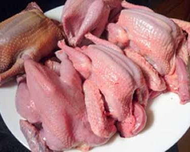 Nguồn sỉ Trứng Chim Cút Đông Anh, Hà Nội Chim Cút Thịt Chim Bồ Câu Thịt