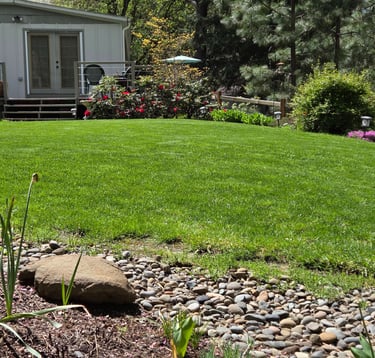 Lush green lawn in a backyard landscape with a dry creek bed, garden flowers, and patio deck.