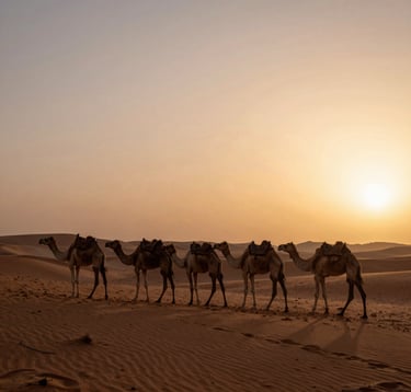 A peaceful caravan of dromedaries walking across the vast Sahara, their silhouettes cast against the sand in dark espresso brown as the sun sets in a warm earthy copper tan glow.