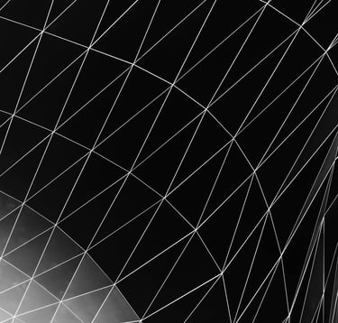 Abstract black and white architectural geometric pattern featuring a curved wireframe mesh design.