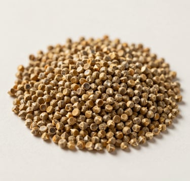 A minimalist, macro photograph of high-quality organic feed pellets. The composition is structured and clean, with a focus on texture and consistency. Lighting is soft, warm gold tones on a clean off-white background.