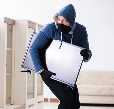 A thief stealing a TV in a house and carrying it away