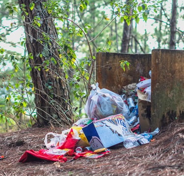 Various garbage thrown in the nature