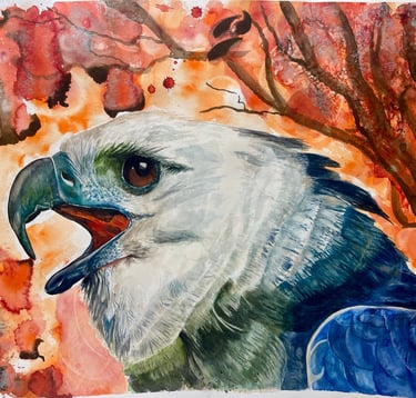 aquarell harpyie adler großer greifvogel bei surkow art vom maler paul surkow