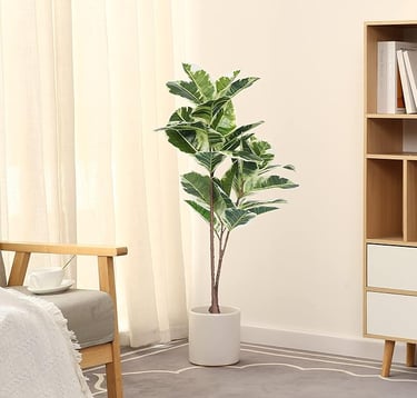 Tall Indoor Plant for Minimalist Living Room – Natural Green Accent for Balanced Modern Decor