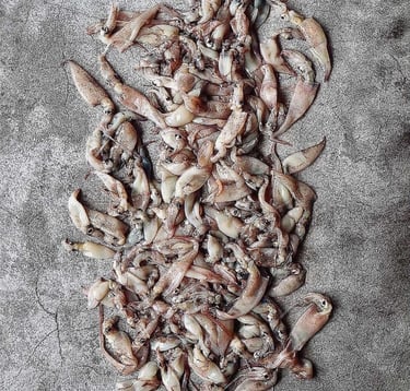 a pile of dead fish on the ground
