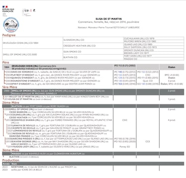 Fiche généalogique ELISA DE ST MARTIN