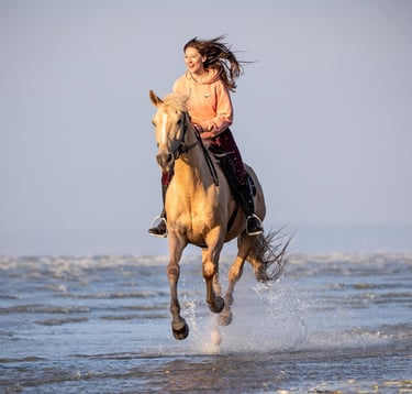 couple cavalier cheval au galop a la mer