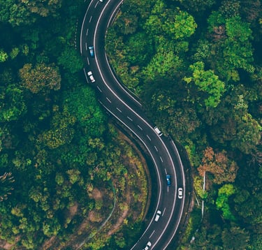 an overhead shot of winding road surrounded by lush forest