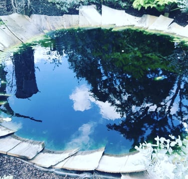 bassin comme un oeil symbolisant le travail en RITMO (retraitement des infomations traumatiques par des mouvements oculaires