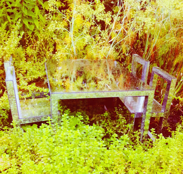 mal-être représenté par une table envahie par la végétation à l'instar de notre inconscient envahi par nos blessures du passé